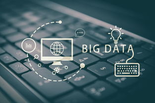 大數據營銷 現代化營銷方式的核心引擎與服務體系